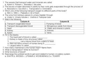 science cbse worksheet 7th std in english medium with answers