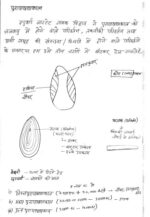 history-toppers-complete-set-history-hindi-handwritten-notes-ias-mains-b