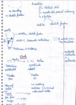 mitra-ias-social-political-philosophy-printed-plus-handwritten-class-notes-b