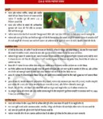 only-ias-paper-2-International-Relations-Hindi-Printed-notes-for-pre-cum-mains-b