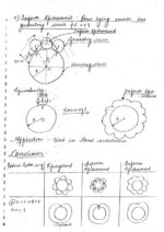 general-studies-engineering-aptitude-handwritten-notes-of-preliminary-stage-1-paper-1-gate-ese-psus-f