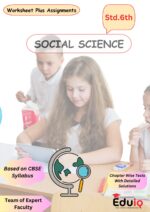 std-6th-social-science-worksheet-assignment