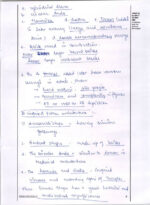 vision-ias-2023-toppers-nausheen-and-aishwaryam-gs-handwritten-copy-notes-for-mains-2024-h